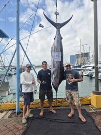 Sand Island Report Photo 2