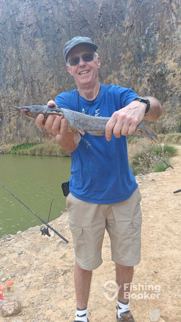 Cape Town Report Photo 0