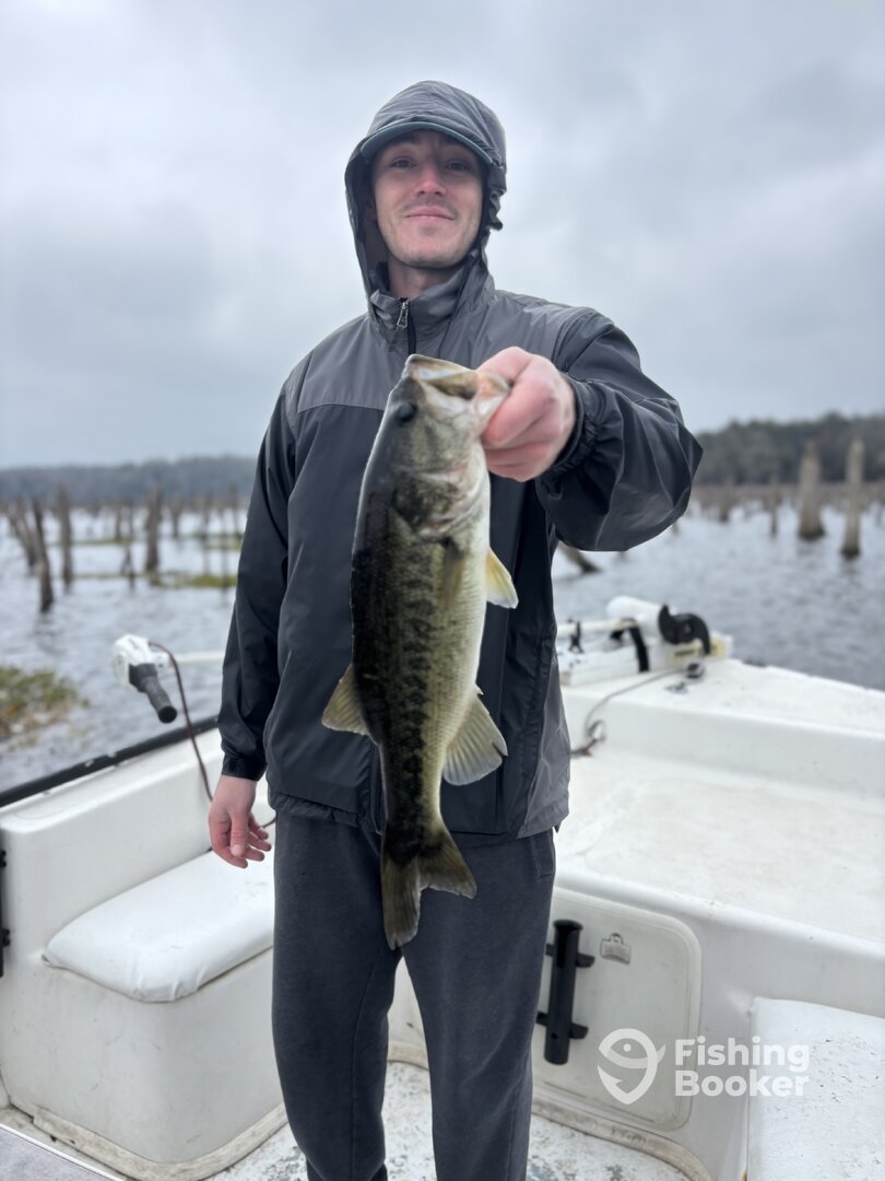 Central Florida Report Photo 0