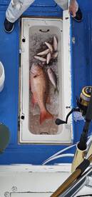 Islamorada Report Photo 2