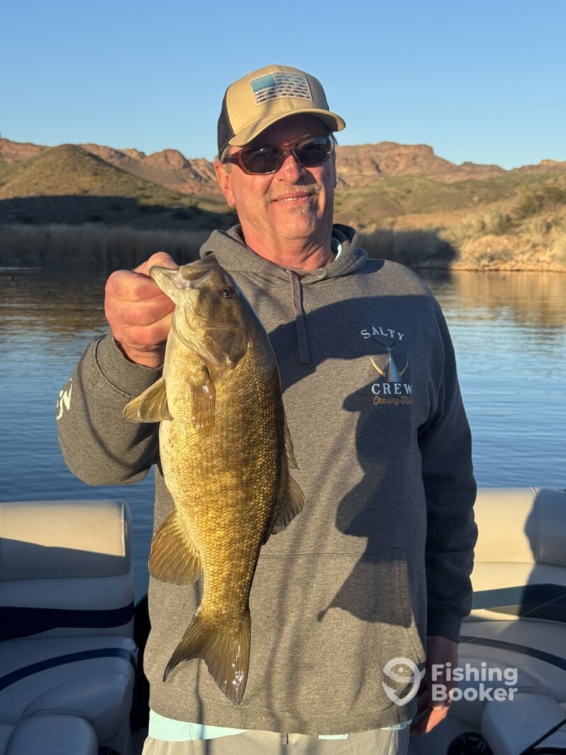 Lake Havasu City Report Photo 0