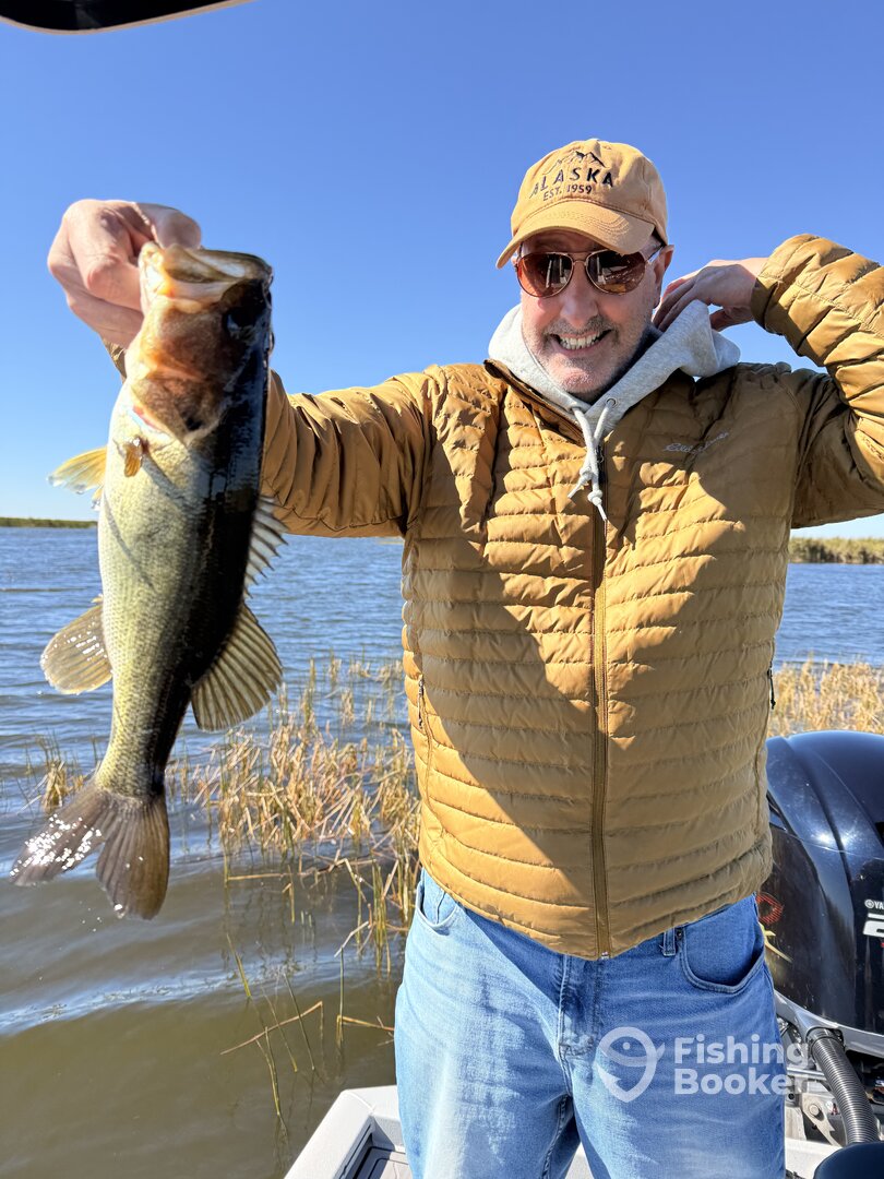 Palm Bay Report Photo 0