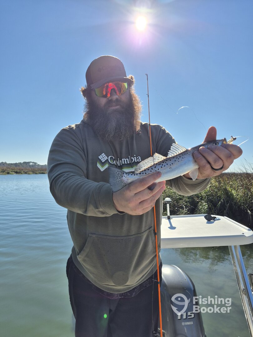 Hilton Head Island Report Photo 0