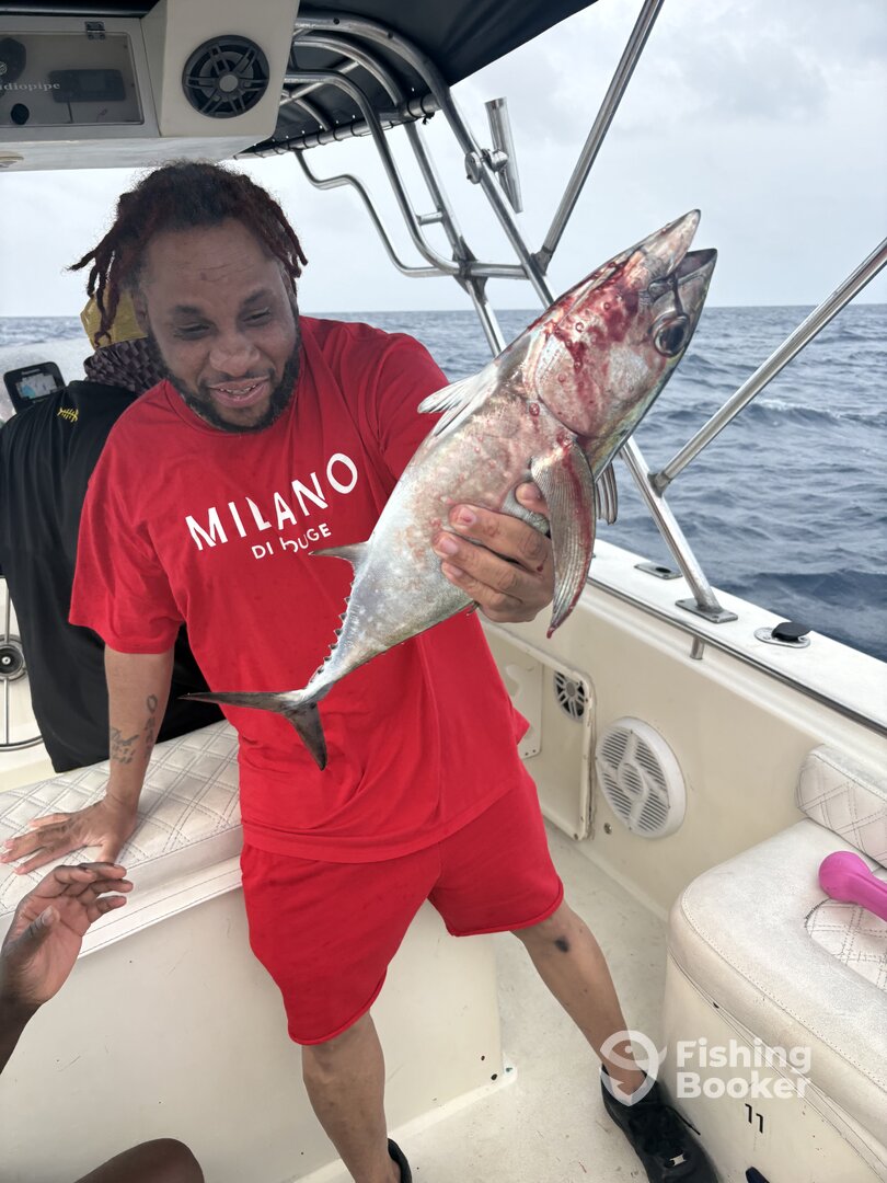 Colombia Report Photo 0