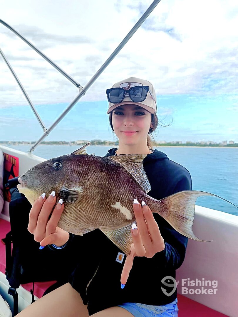 Playa Del Carmen Report Photo 0