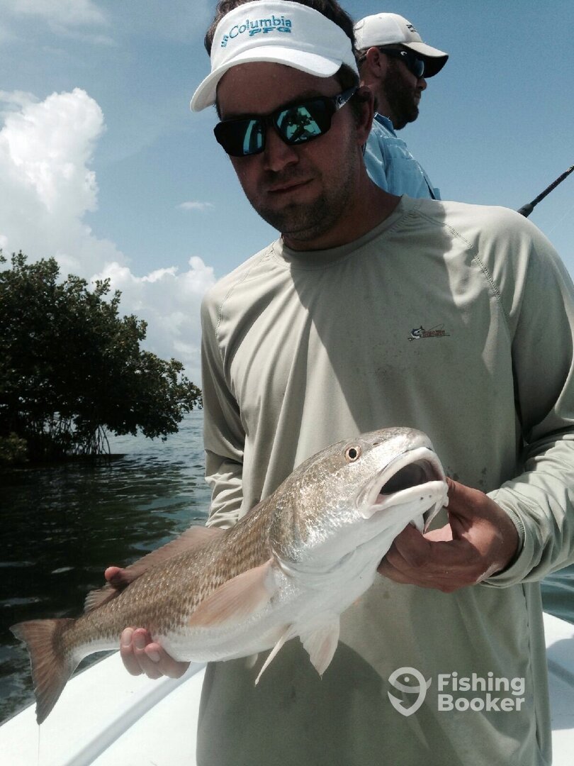 REDFISH 