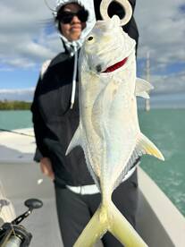 Florida Bay Report Photo 1