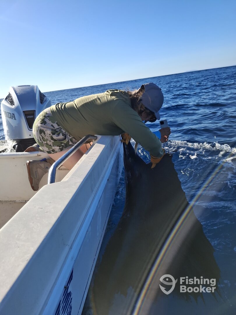 Herradura Report Photo 0