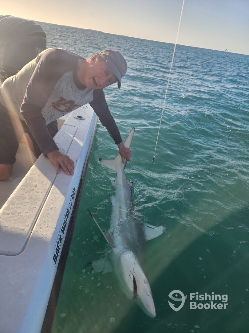 Stock Island Report Photo 0