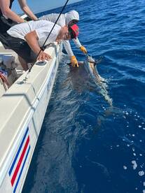 When the Pacific serves the perfect even