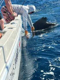 Herradura Report Photo 2