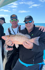 Mangrove Bite is Hot!