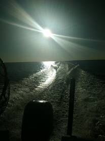 St. Bernard Report Photo 1