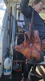 Machico Verslag Foto 2