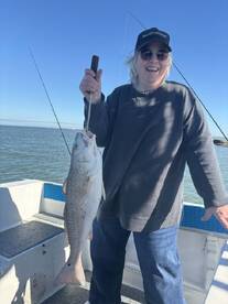 Galveston County Report Photo 3