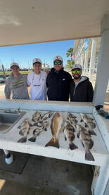 Galveston County Report Photo 4