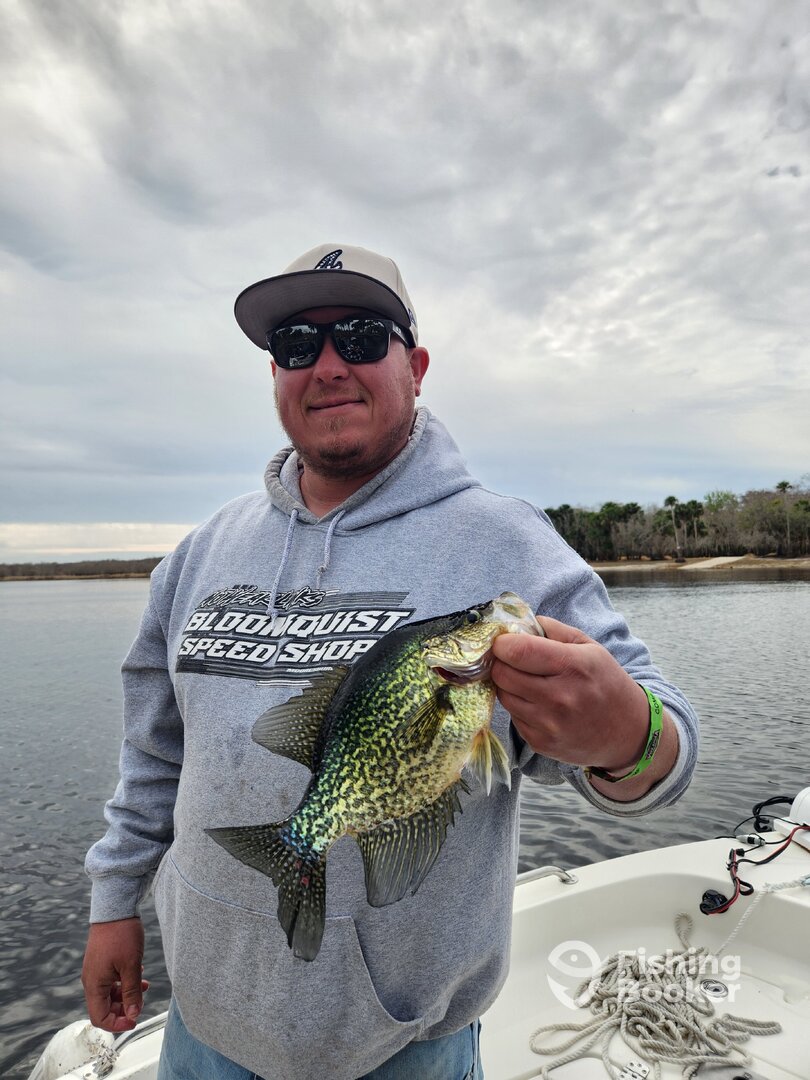 DeBary Report Photo 0