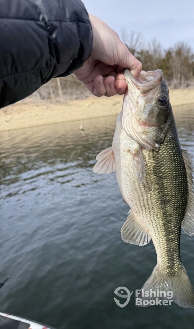 Branson Report Photo 0