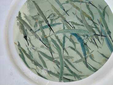 Pompano Beach Report Photo 2