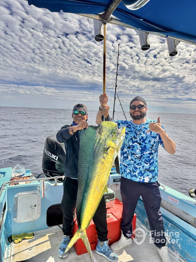 San Jose del Cabo Report Photo 0