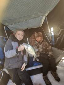 McHenry County Report Photo 1