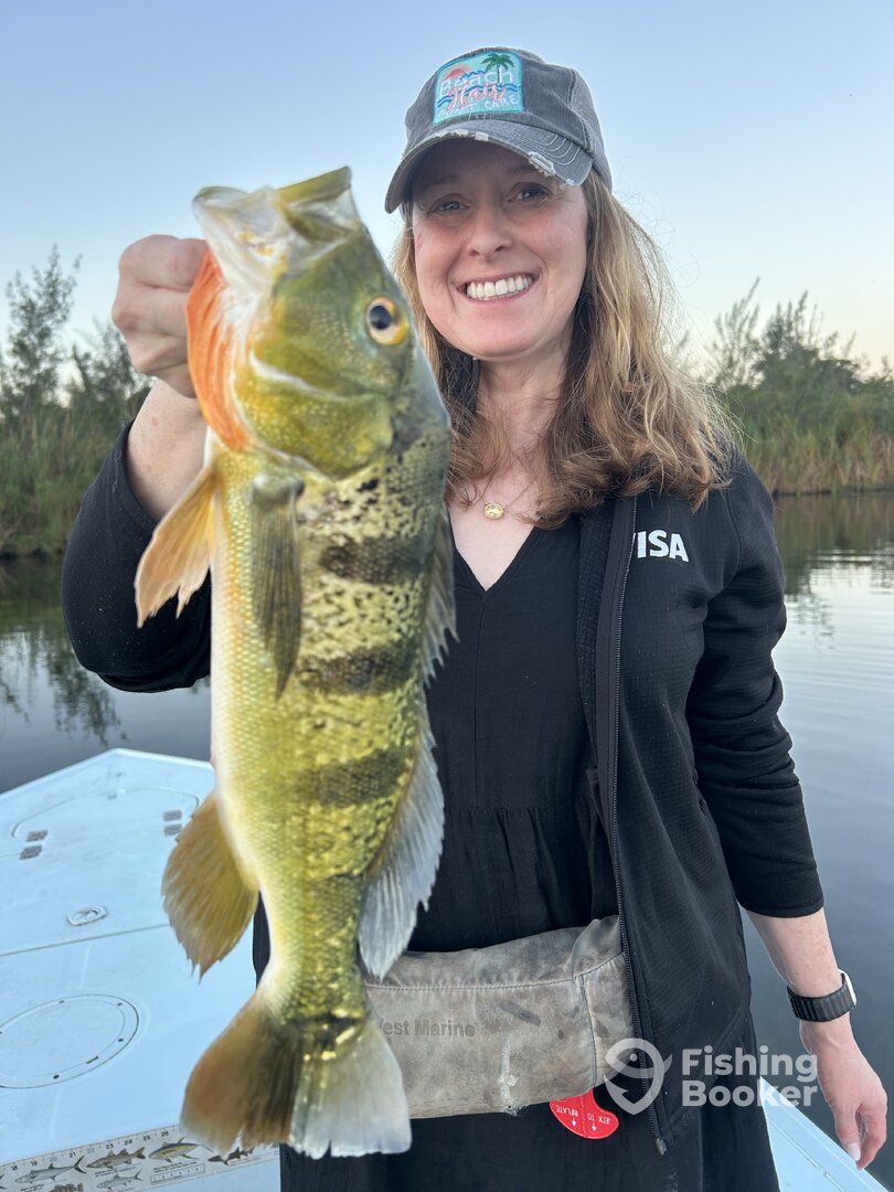 Toa Alta Report Photo 0