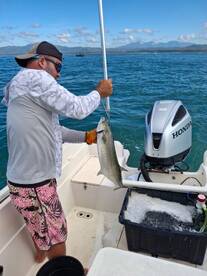 Puntarenas Province Report Photo 1