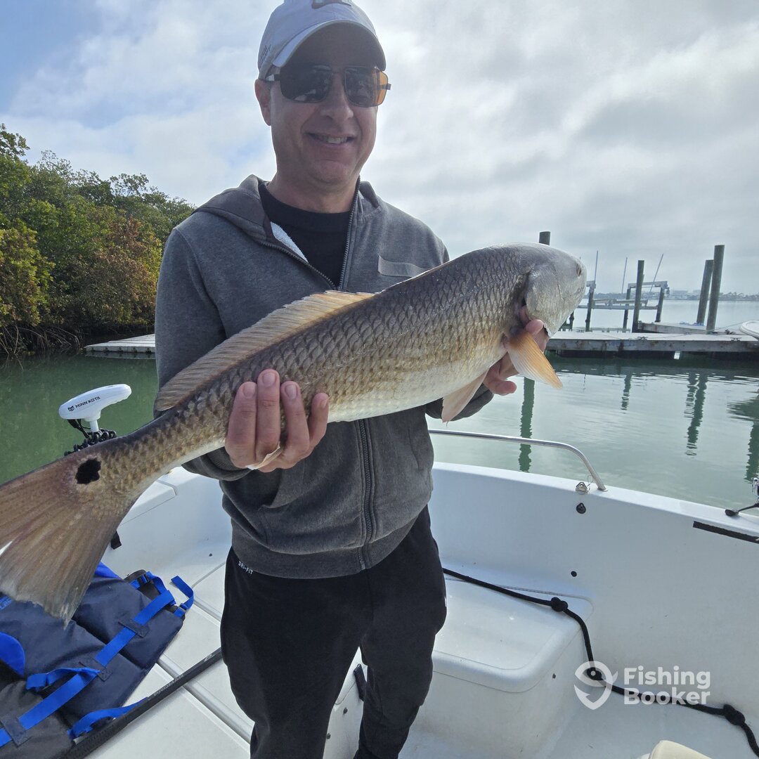 Sarasota Report Photo 0