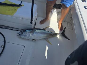 Cayman Islands Report Photo 1