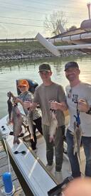 Afternoon catfish 