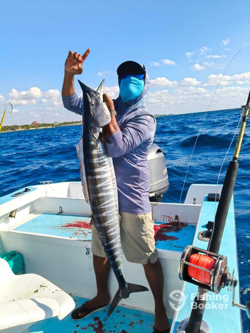 Quintana Roo Report Photo 0