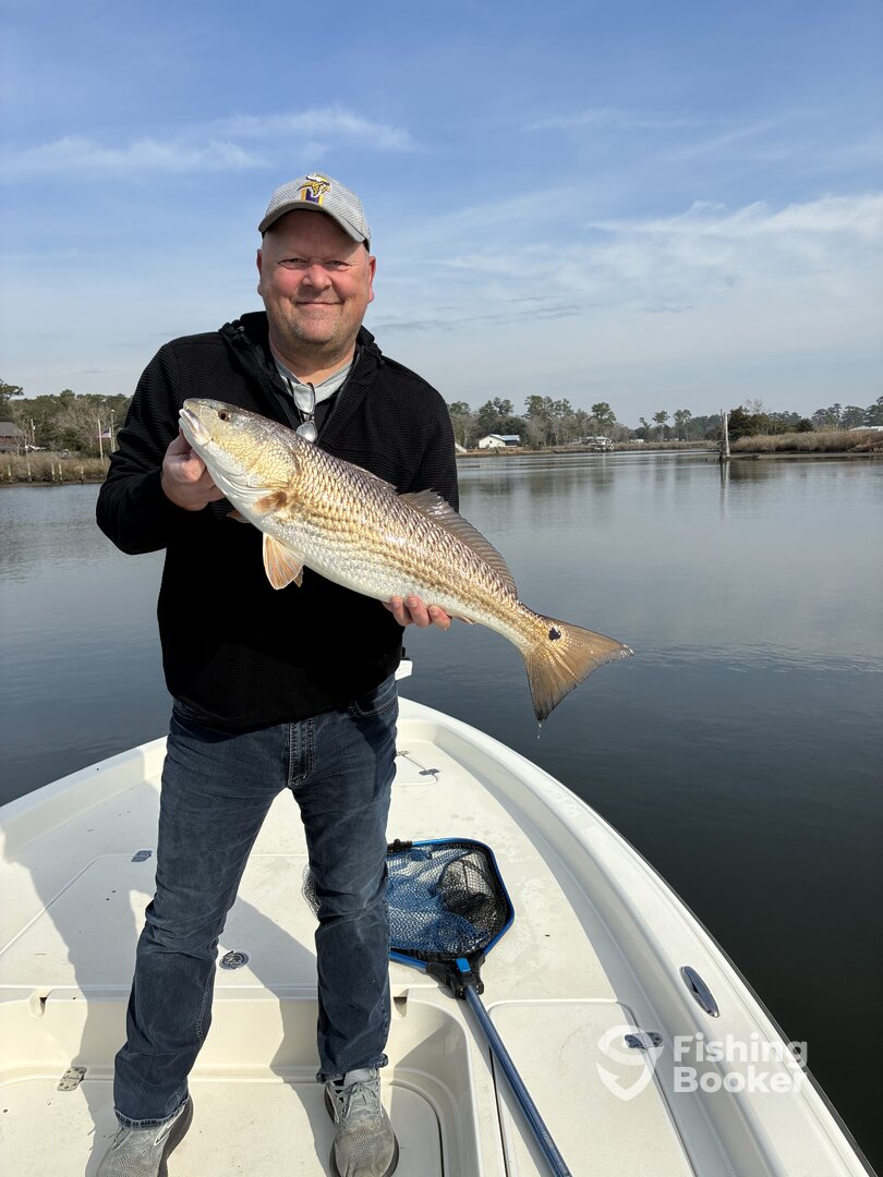 Gulf Shores Report Photo 0