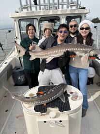 Berkeley Report Photo 2