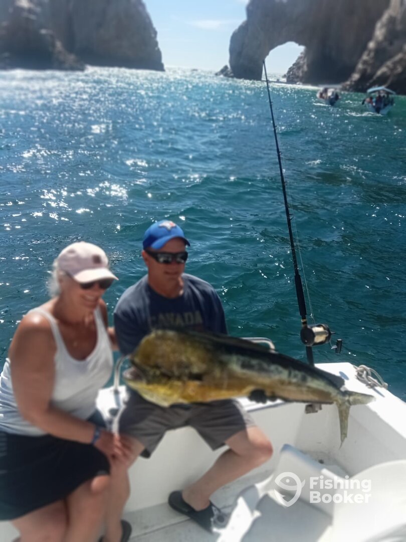Los Cabos Report Photo 0