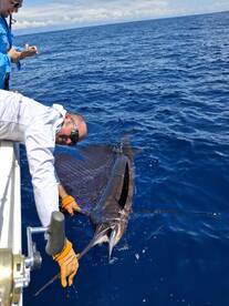 Puntarenas Province Report Photo 2