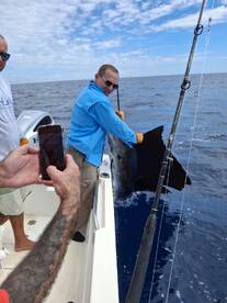 Puntarenas Province Report Photo 1