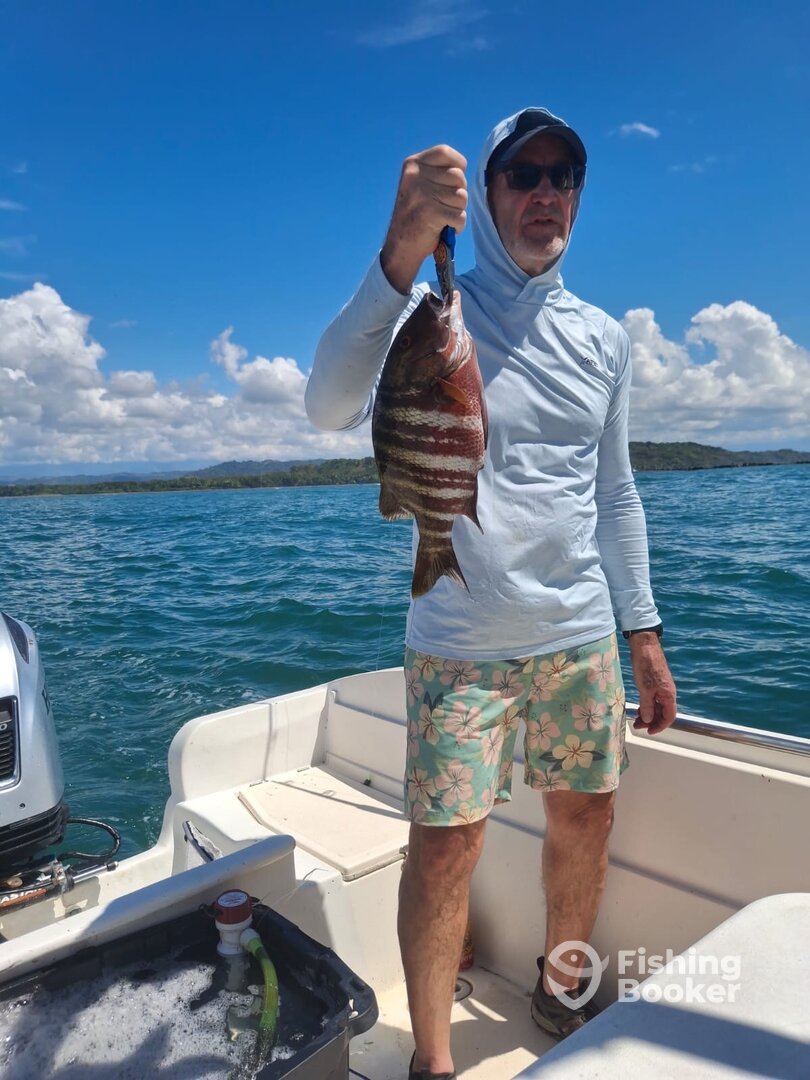 Puntarenas Province Report Photo 0