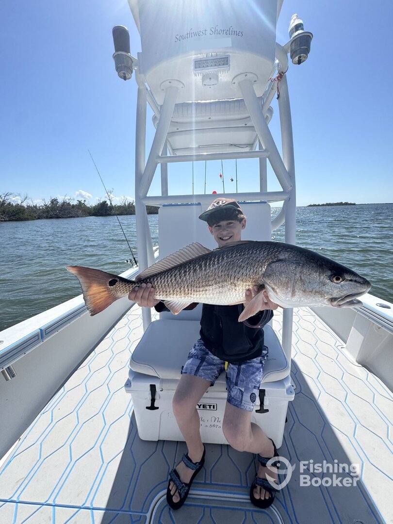 Lee County Report Photo 0