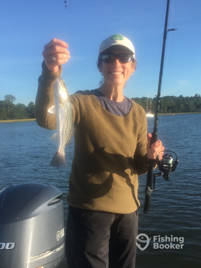 Mount Pleasant Report Photo 0