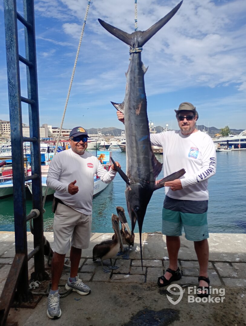 Mexico Report Photo 0