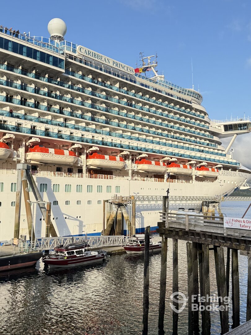 Alaska Report Photo 0