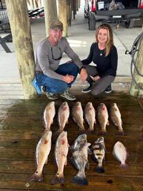 Venice Report Photo 2