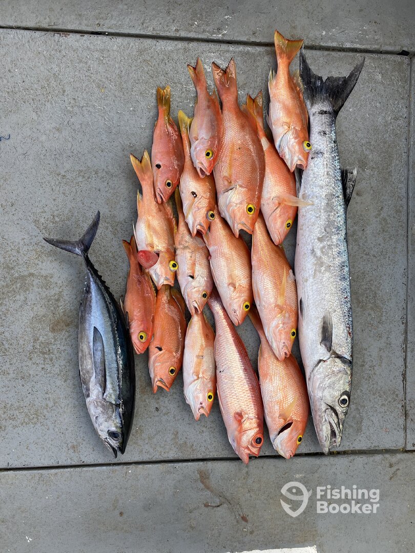 West End Report Photo 0