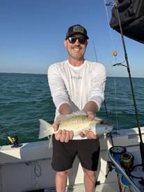 Inshore snapper bite 