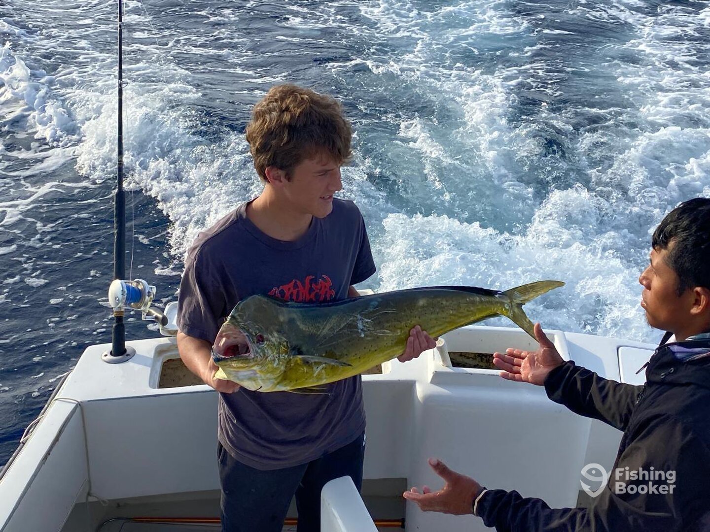 Cabo San Lucas Report Photo 0