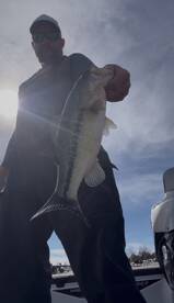 Branson Report Photo 2