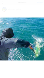 Jensen Beach Report Photo 2