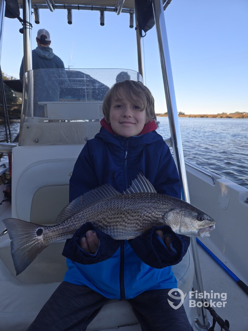 Mount Pleasant Report Photo 0