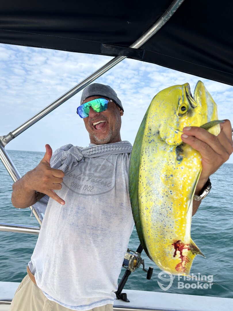 Cartagena Report Photo 0