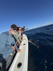 Fort Lauderdale Report Photo 2